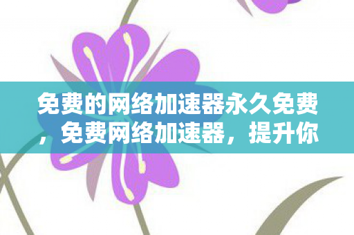 免费的网络加速器永久免费,免费网络加速器,提升你的在线体验 免费的网络加速器永久免费,免费网络加速器,提升你的在线体验