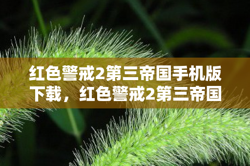 红色警戒2第三帝国手机版下载,红色警戒2第三帝国,历史的阴影与现实的启示 红色警戒2第三帝国手机版下载,红色警戒2第三帝国,历史的阴影与现实的启示