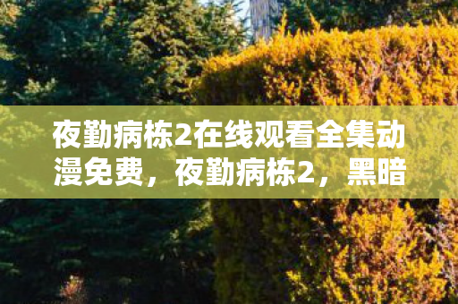 夜勤病栋2在线观看全集动漫免费,夜勤病栋2,黑暗中的守护者 夜勤病栋2在线观看全集动漫免费,夜勤病栋2,黑暗中的守护者