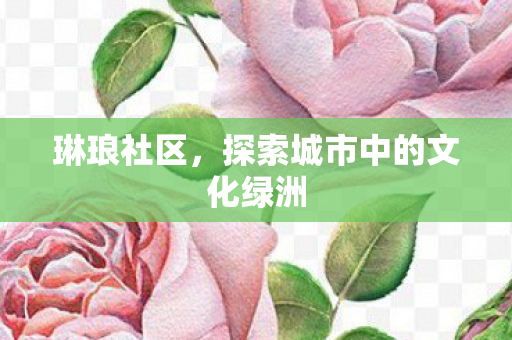 琳琅社区,探索城市中的文化绿洲 琳琅社区,探索城市中的文化绿洲