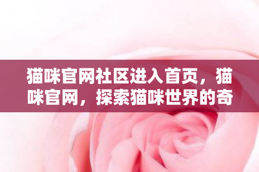 猫咪官网社区进入首页,猫咪官网,探索猫咪世界的奇妙之旅 猫咪官网社区进入首页,猫咪官网,探索猫咪世界的奇妙之旅