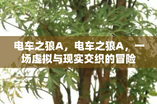 电车之狼A,电车之狼A,一场虚拟与现实交织的冒险 电车之狼A,电车之狼A,一场虚拟与现实交织的冒险