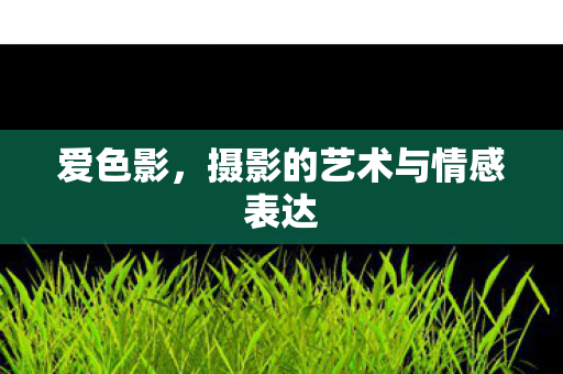爱色影,摄影的艺术与情感表达 爱色影,摄影的艺术与情感表达
