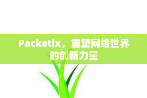Packetix,重塑网络世界的创新力量 Packetix,重塑网络世界的创新力量