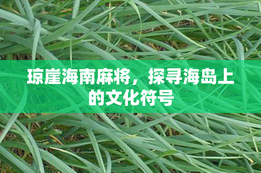 琼崖海南麻将,探寻海岛上的文化符号 琼崖海南麻将,探寻海岛上的文化符号