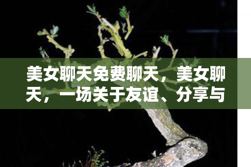 美女聊天免费聊天,美女聊天,一场关于友谊、分享与成长的对话 美女聊天免费聊天,美女聊天,一场关于友谊、分享与成长的对话