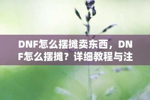 DNF怎么摆摊卖东西,DNF怎么摆摊?详细教程与注意事项 DNF怎么摆摊卖东西,DNF怎么摆摊?详细教程与注意事项