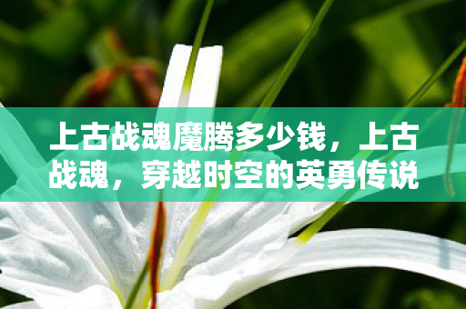 上古战魂魔腾多少钱,上古战魂,穿越时空的英勇传说 上古战魂魔腾多少钱,上古战魂,穿越时空的英勇传说