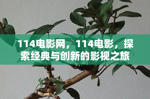 114电影网,114电影,探索经典与创新的影视之旅 114电影网,114电影,探索经典与创新的影视之旅