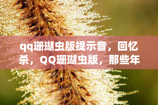 qq珊瑚虫版提示音,回忆杀,QQ珊瑚虫版,那些年我们一起用过的QQ皮肤 qq珊瑚虫版提示音,回忆杀,QQ珊瑚虫版,那些年我们一起用过的QQ皮肤