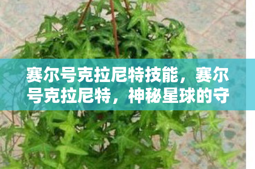 赛尔号克拉尼特技能，赛尔号克拉尼特，神秘星球的守护者