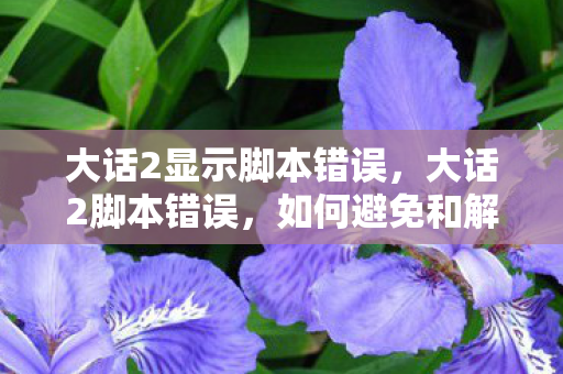 大话2显示脚本错误，大话2脚本错误，如何避免和解决常见问题