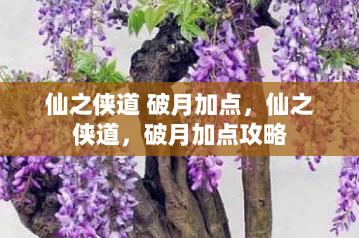 仙之侠道 破月加点,仙之侠道,破月加点攻略 仙之侠道 破月加点,仙之侠道,破月加点攻略