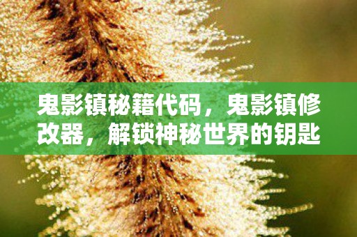 鬼影镇秘籍代码,鬼影镇修改器,解锁神秘世界的钥匙 鬼影镇秘籍代码,鬼影镇修改器,解锁神秘世界的钥匙