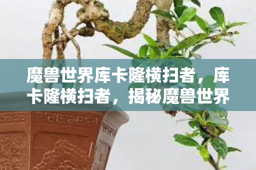 魔兽世界库卡隆横扫者，库卡隆横扫者，揭秘魔兽世界中令人敬畏的战士