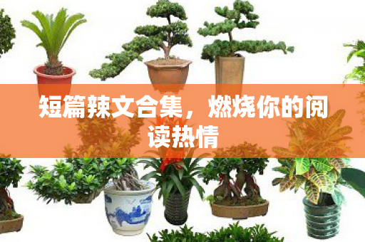 短篇辣文合集,燃烧你的阅读热情 短篇辣文合集,燃烧你的阅读热情
