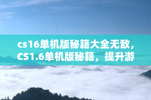 cs16单机版秘籍大全无敌，CS1.6单机版秘籍，提升游戏技巧与攻略