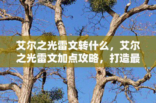 艾尔之光雷文转什么,艾尔之光雷文加点攻略,打造最强战斗法师 艾尔之光雷文转什么,艾尔之光雷文加点攻略,打造最强战斗法师