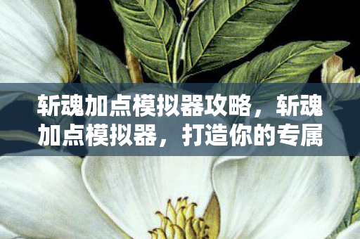 斩魂加点模拟器攻略，斩魂加点模拟器，打造你的专属角色
