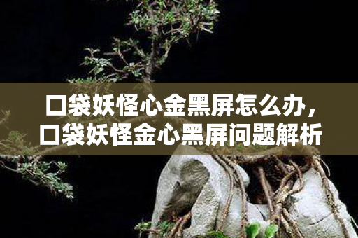口袋妖怪心金黑屏怎么办，口袋妖怪金心黑屏问题解析与解决策略