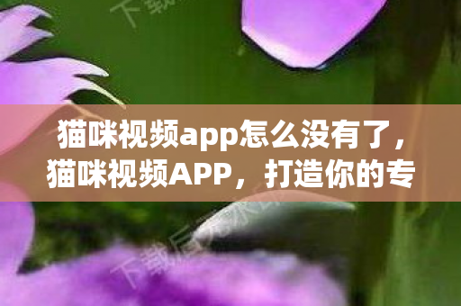 猫咪视频app怎么没有了，猫咪视频APP，打造你的专属萌宠乐园