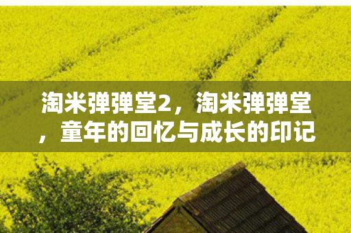淘米弹弹堂2,淘米弹弹堂,童年的回忆与成长的印记 淘米弹弹堂2,淘米弹弹堂,童年的回忆与成长的印记