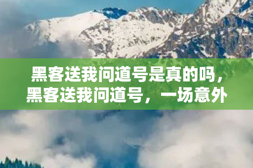 黑客送我问道号是真的吗,黑客送我问道号,一场意外的虚拟奇遇 黑客送我问道号是真的吗,黑客送我问道号,一场意外的虚拟奇遇