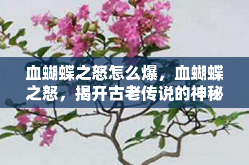 血蝴蝶之怒怎么爆,血蝴蝶之怒,揭开古老传说的神秘面纱 血蝴蝶之怒怎么爆,血蝴蝶之怒,揭开古老传说的神秘面纱