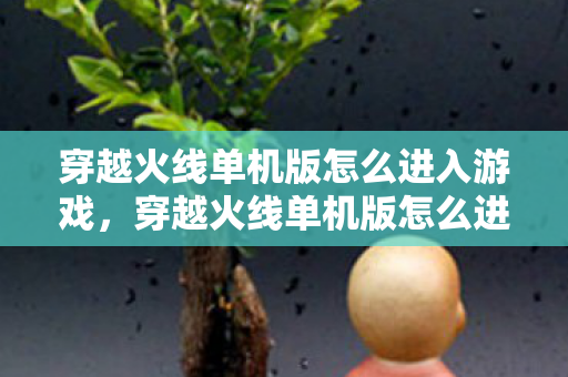 穿越火线单机版怎么进入游戏，穿越火线单机版怎么进？详细步骤解析