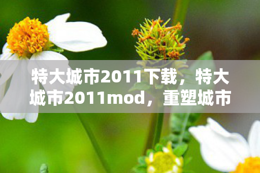 特大城市2011下载，特大城市2011mod，重塑城市未来的模拟神器