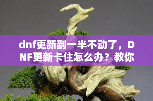 dnf更新到一半不动了,DNF更新卡住怎么办?教你几招解决更新问题 dnf更新到一半不动了,DNF更新卡住怎么办?教你几招解决更新问题