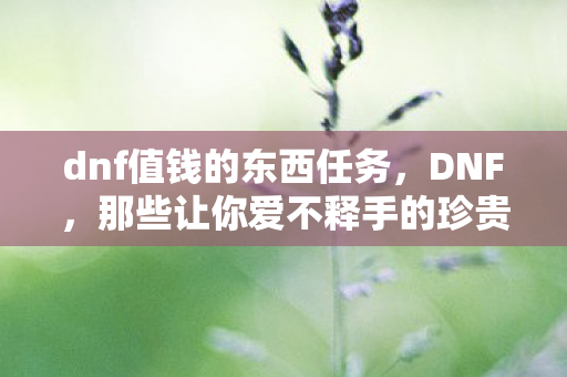 dnf值钱的东西任务，DNF，那些让你爱不释手的珍贵物品