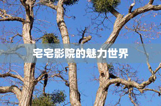 宅宅影院的魅力世界 宅宅影院的魅力世界