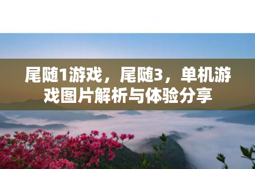 尾随1游戏，尾随3，单机游戏图片解析与体验分享
