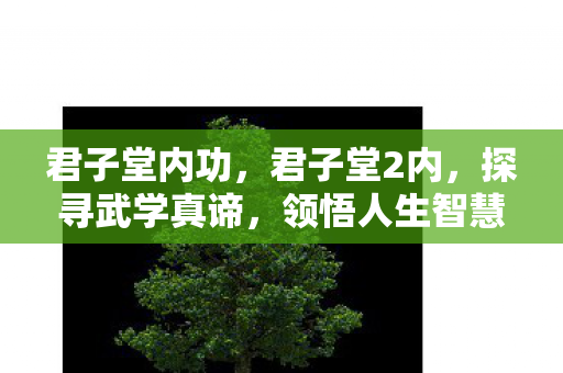 君子堂内功,君子堂2内,探寻武学真谛,领悟人生智慧 君子堂内功,君子堂2内,探寻武学真谛,领悟人生智慧