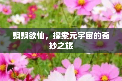 飘飘欲仙,探索元宇宙的奇妙之旅 飘飘欲仙,探索元宇宙的奇妙之旅