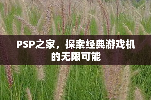 PSP之家,探索经典游戏机的无限可能 PSP之家,探索经典游戏机的无限可能