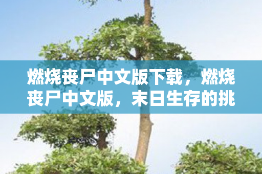 燃烧丧尸中文版下载,燃烧丧尸中文版,末日生存的挑战与希望 燃烧丧尸中文版下载,燃烧丧尸中文版,末日生存的挑战与希望