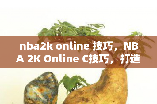 nba2k online 技巧,NBA 2K Online C技巧,打造内线霸主 nba2k online 技巧,NBA 2K Online C技巧,打造内线霸主