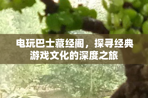 电玩巴士藏经阁,探寻经典游戏文化的深度之旅 电玩巴士藏经阁,探寻经典游戏文化的深度之旅