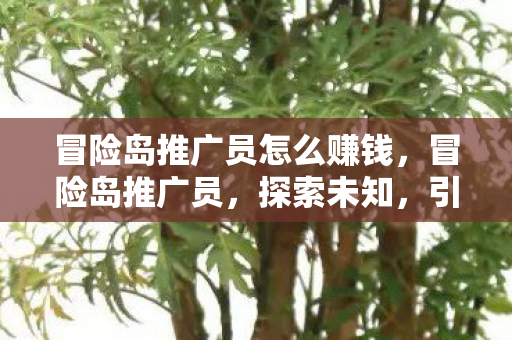 冒险岛推广员怎么赚钱,冒险岛推广员,探索未知,引领潮流 冒险岛推广员怎么赚钱,冒险岛推广员,探索未知,引领潮流