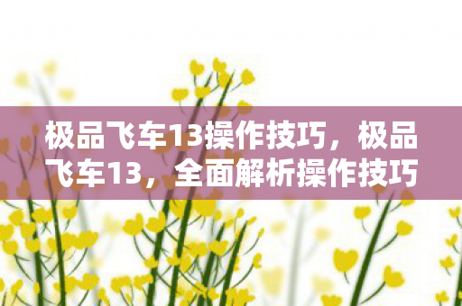 极品飞车13操作技巧,极品飞车13,全面解析操作技巧 极品飞车13操作技巧,极品飞车13,全面解析操作技巧