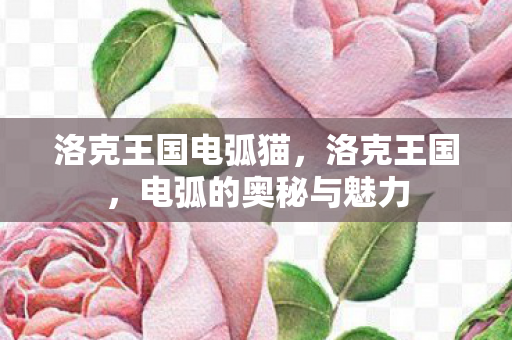 洛克王国电弧猫,洛克王国,电弧的奥秘与魅力 洛克王国电弧猫,洛克王国,电弧的奥秘与魅力