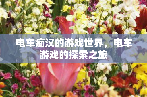 电车痴汉的游戏世界,电车游戏的探索之旅 电车痴汉的游戏世界,电车游戏的探索之旅