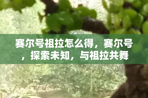 赛尔号祖拉怎么得,赛尔号,探索未知,与祖拉共舞 赛尔号祖拉怎么得,赛尔号,探索未知,与祖拉共舞