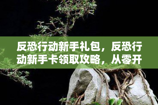 反恐行动新手礼包，反恐行动新手卡领取攻略，从零开始，打造你的反恐精英之路