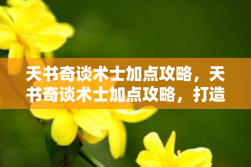 天书奇谈术士加点攻略,天书奇谈术士加点攻略,打造最强法师阵容 天书奇谈术士加点攻略,天书奇谈术士加点攻略,打造最强法师阵容