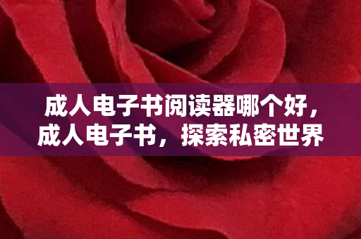 成人电子书阅读器哪个好，成人电子书，探索私密世界的数字钥匙