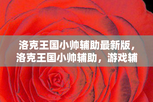 洛克王国小帅辅助最新版，洛克王国小帅辅助，游戏辅助工具还是作弊神器？
