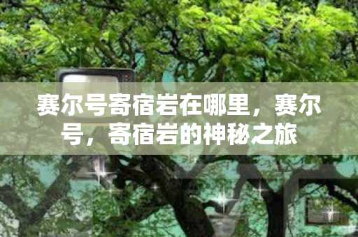赛尔号寄宿岩在哪里，赛尔号，寄宿岩的神秘之旅